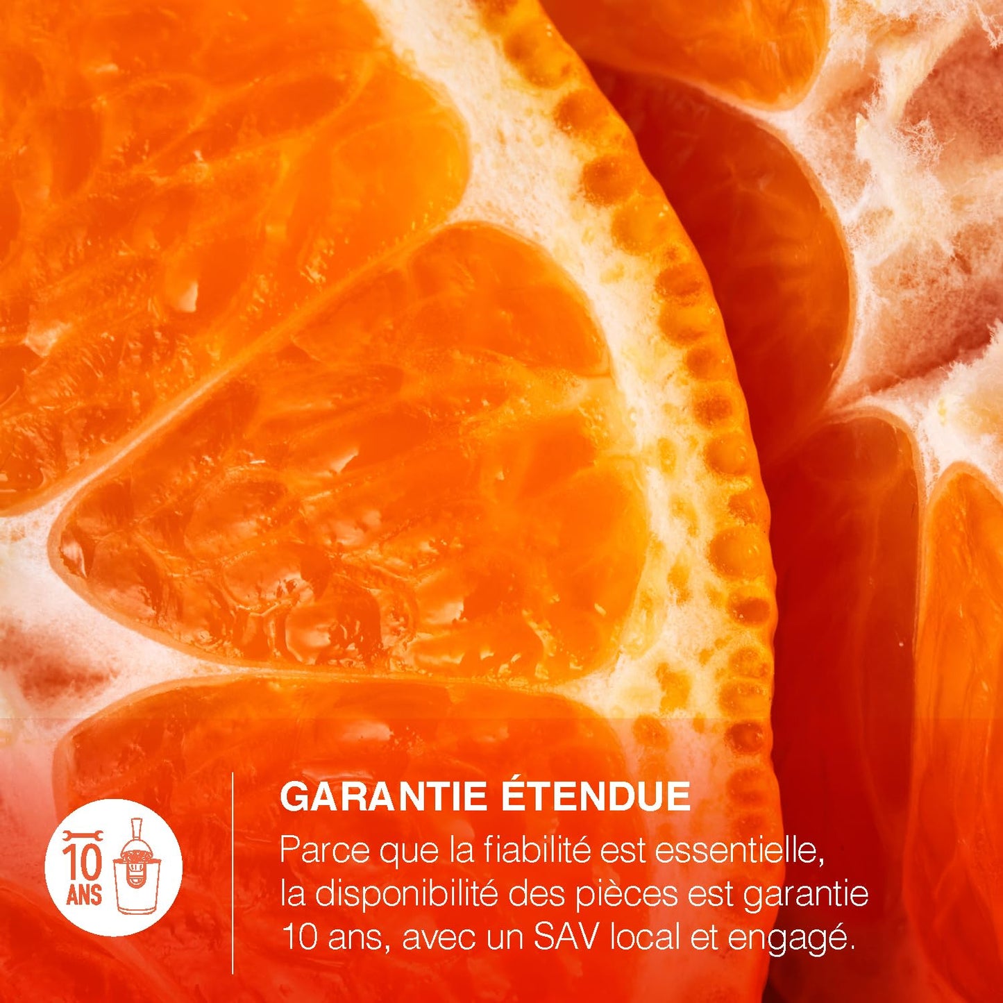 H.Koenig Presse-agrumes électrique professionnel à levier AGR80, inox, 160W puissant, bec anti-gouttes, compatible lave-vaisselle, Argent