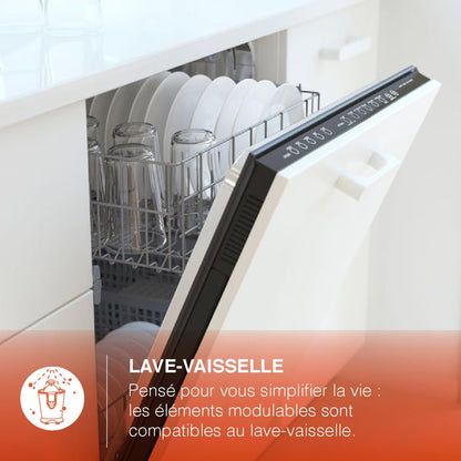 H.Koenig Presse-agrumes électrique professionnel à levier AGR80, inox, 160W puissant, bec anti-gouttes, compatible lave-vaisselle, Argent